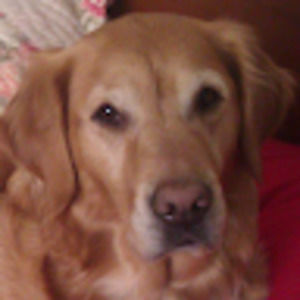 Meet your Posher, Colleen